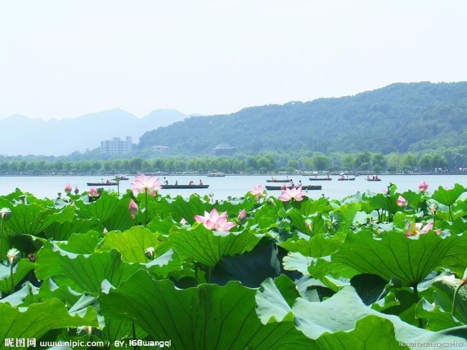 23_《饮湖上初晴后雨》_第5页