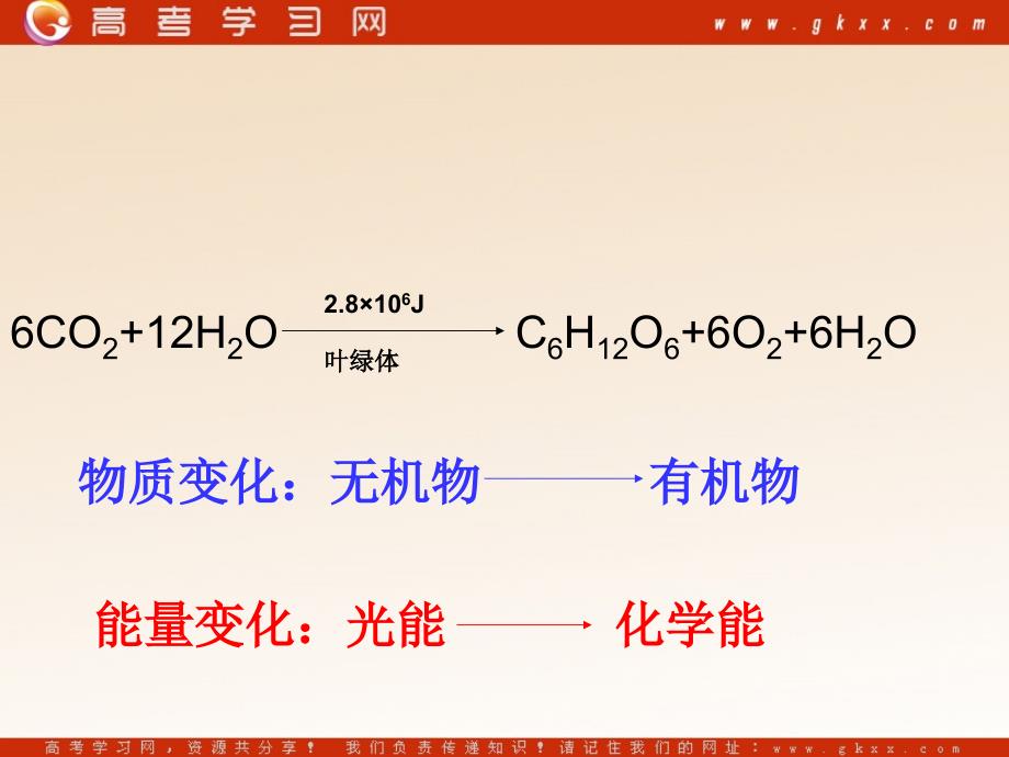 高中生物《生态系统中的生产量和生物量》课件1（22张PPT）_第3页