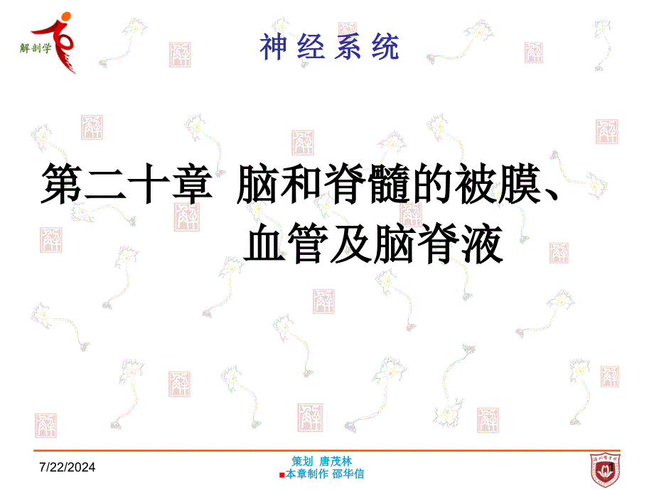 《系统解剖学》教学课件：第十九章脑脊髓血管被膜_第1页