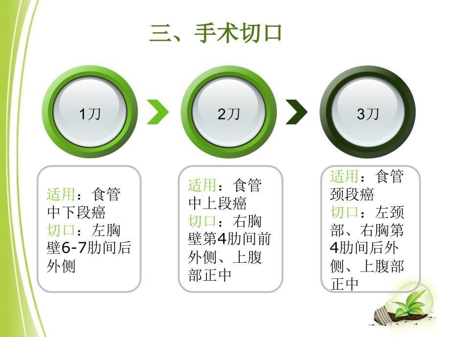 食管癌手术配合_第5页