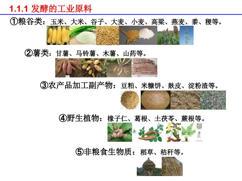 F01第一章发酵原料及其处理_第4页