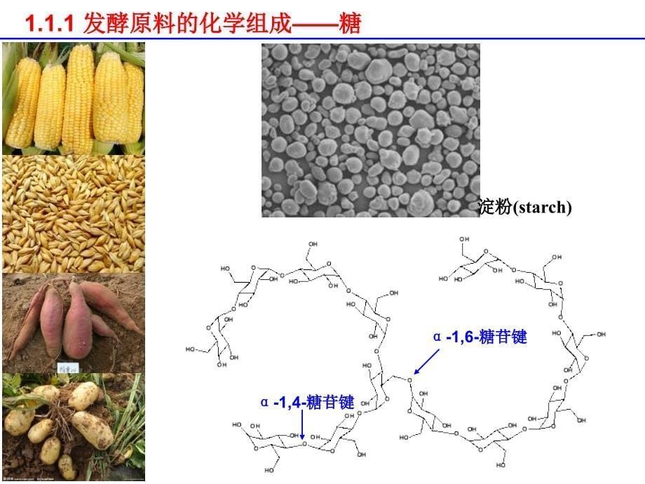 F01第一章发酵原料及其处理_第5页