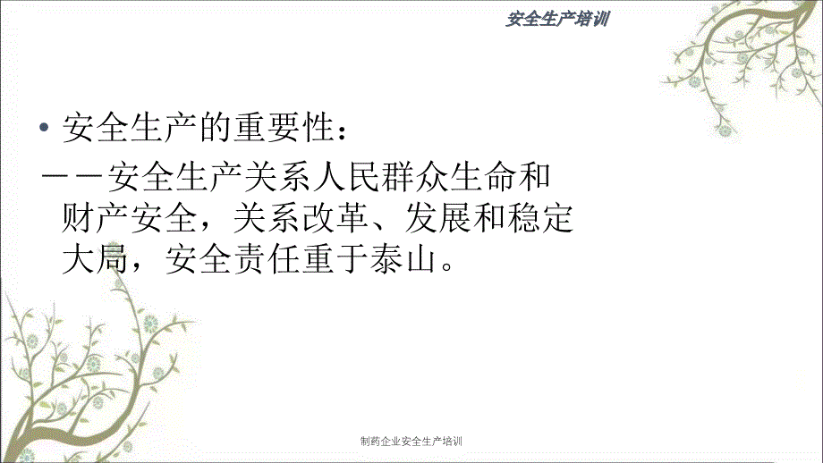 制药企业安全生产培训PPT课件_第2页