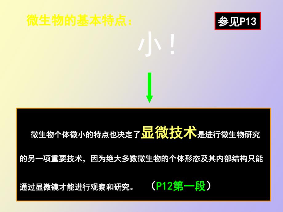 纯培养和显微技术_第4页