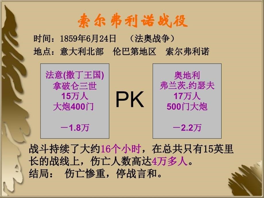 红十字会的起源_第5页