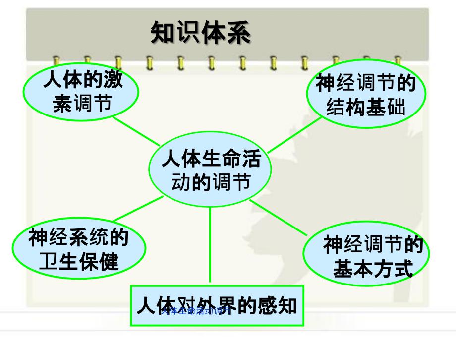 人体生命活动调节_第2页