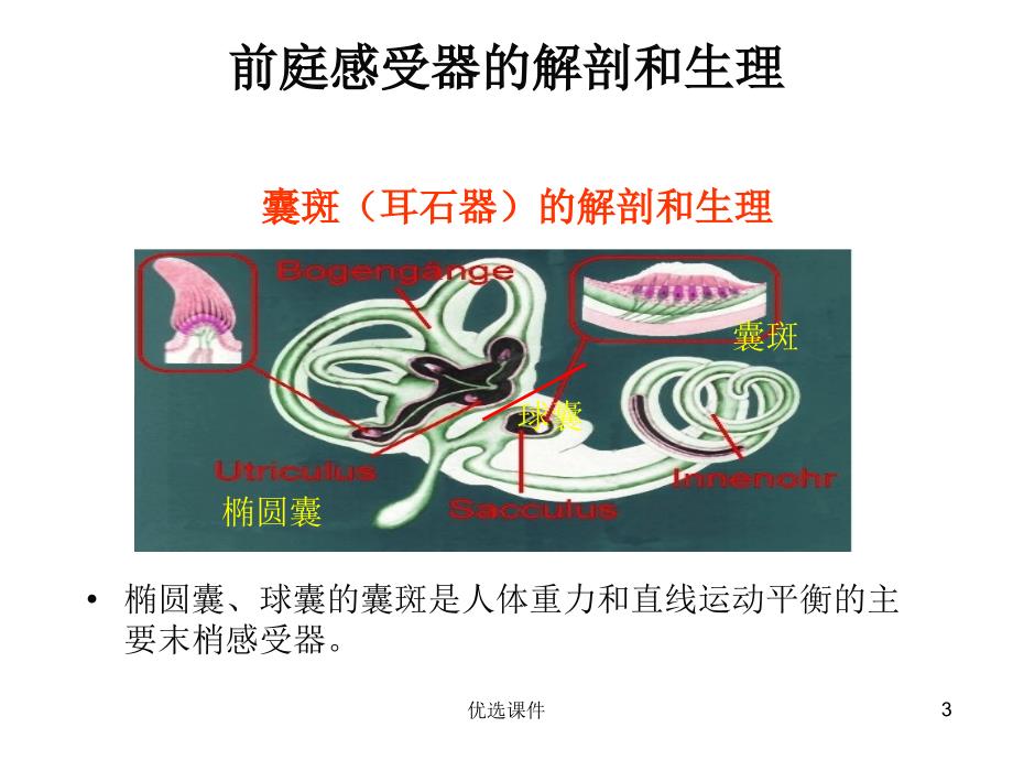 良性阵发性位置性【管理材料】_第3页