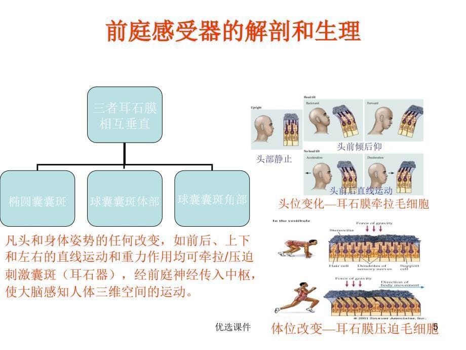 良性阵发性位置性【管理材料】_第5页