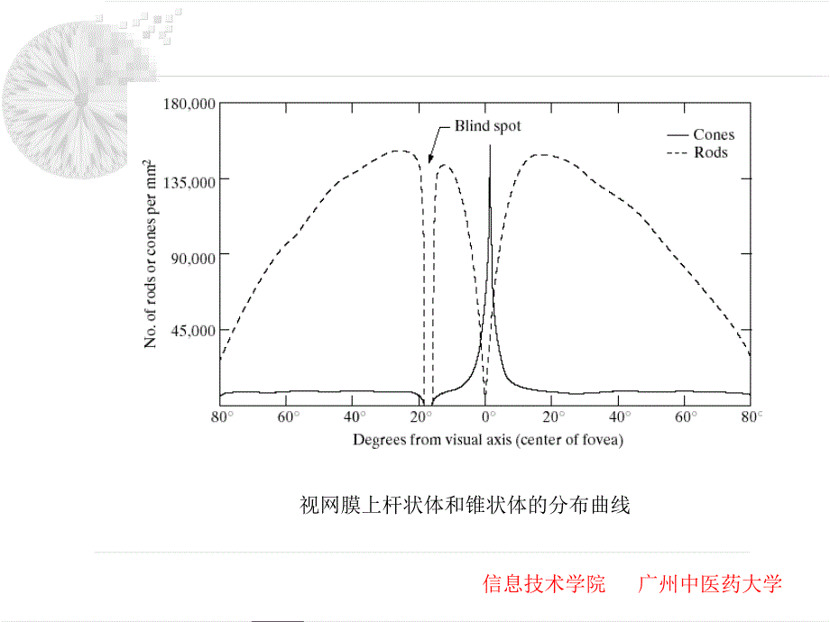 第二章DIP基础_第4页