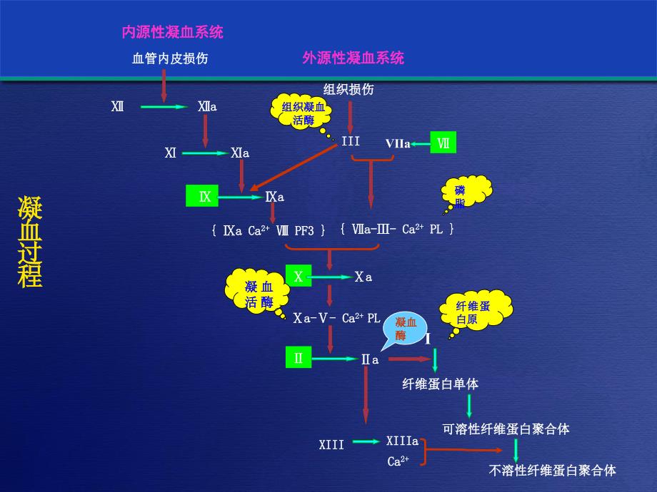 重症患者的出凝血障碍与治疗对策_第4页