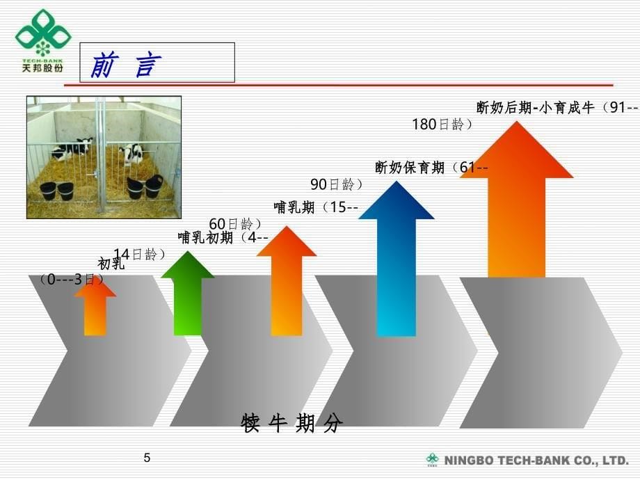 犊牛的饲养管理.ppt_第5页