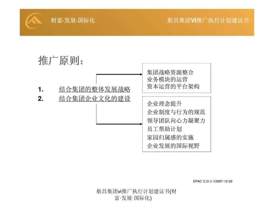 舫昌集团vi推广执行计划建议书财富发展国际化课件_第2页