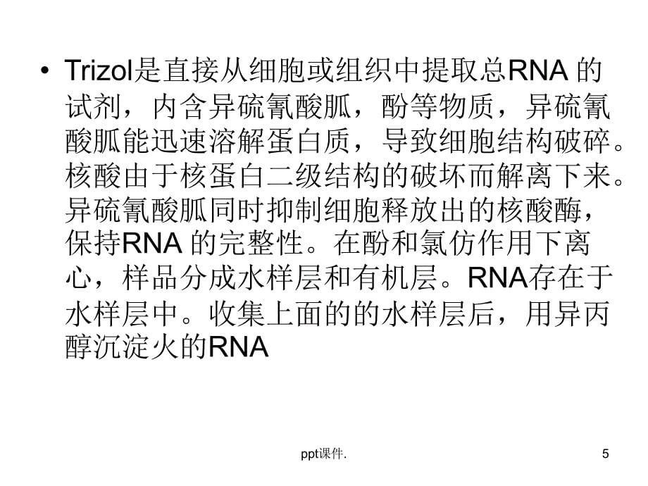 TRIZOL法提取总RNAppt课件_第5页