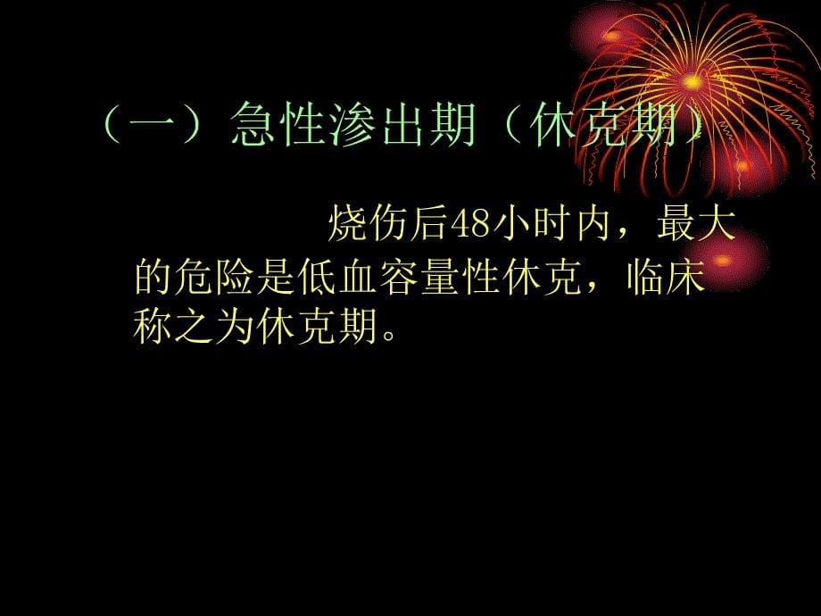 《烧伤讲稿护理》ppt课件.ppt_第5页