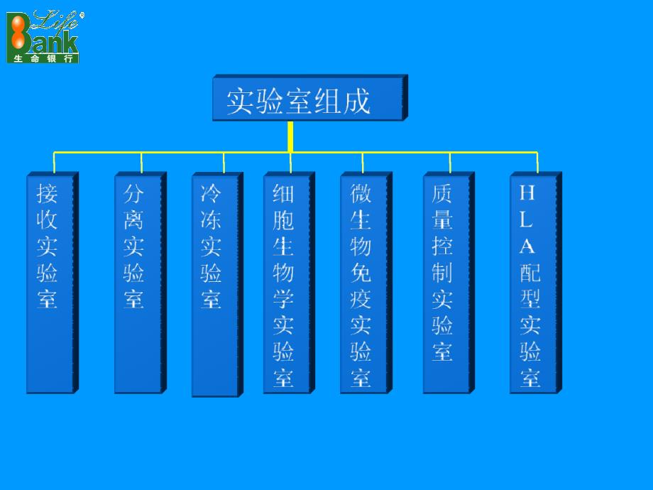 脐带血造血干细胞知识讲座_第3页