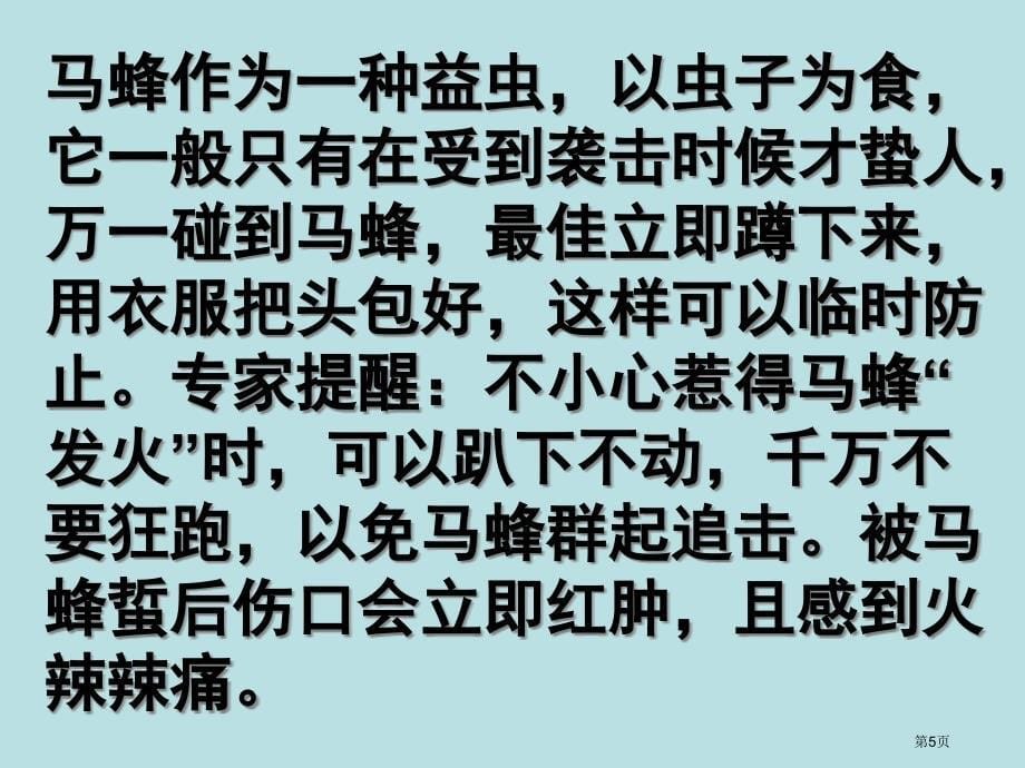 语文捅马蜂窝鄂教版七年级上册公开课获奖课件_第5页