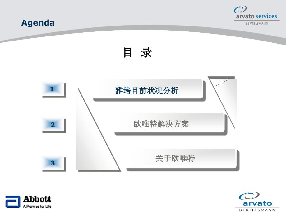 雅培中国物流方案-完成_第2页