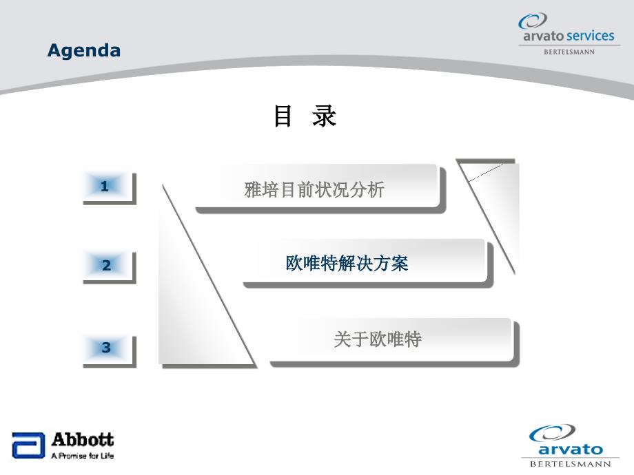 雅培中国物流方案-完成_第4页