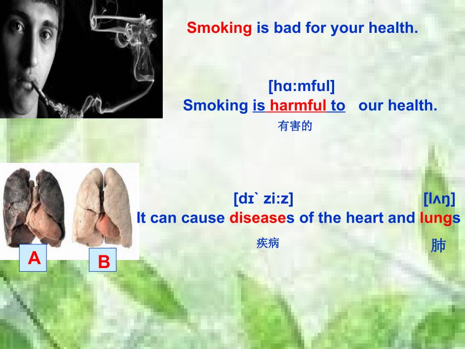 冀教版九年级英语Unit 1 Lesson 4《Don&#39;t Smoke, Please》 课件_第3页