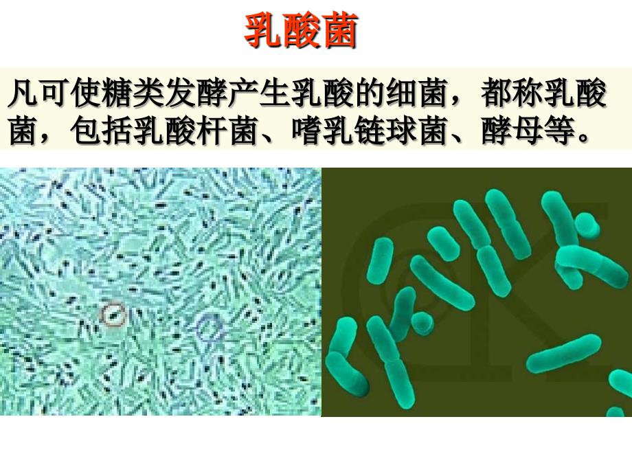 实验6泡菜的腌制和亚硝酸盐的测定分析课件_第2页