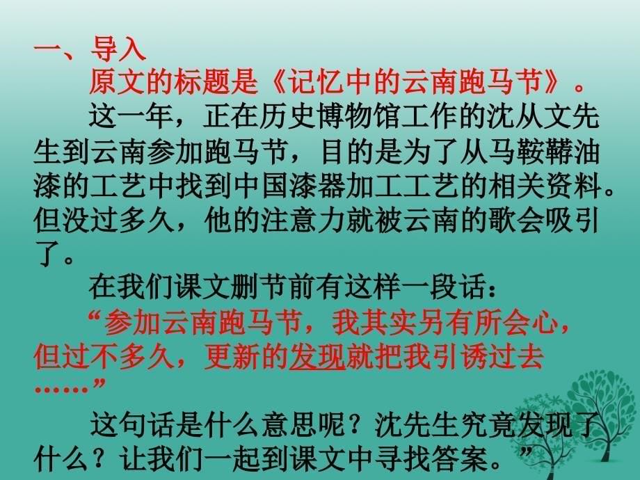 广东省深圳市文汇中学八年级语文下册 第16课《云南的歌会》课件1 新人教版_第5页