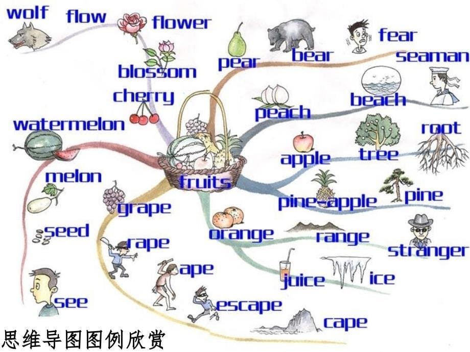 思维导图的翅膀PPT课件_第5页