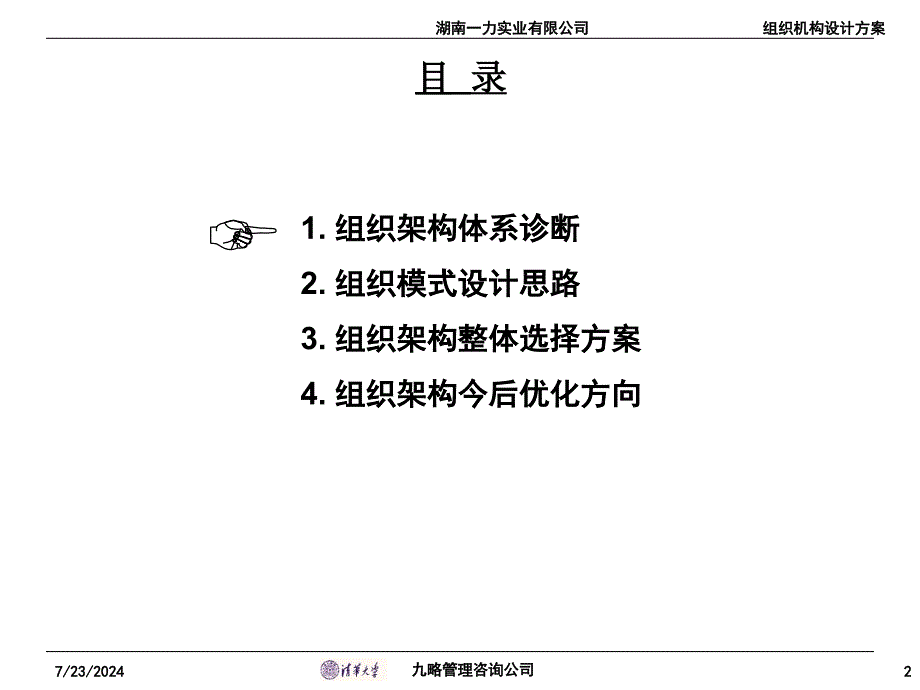 某组织结构咨询报告_第2页