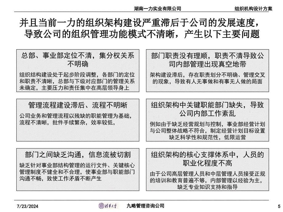 某组织结构咨询报告_第5页