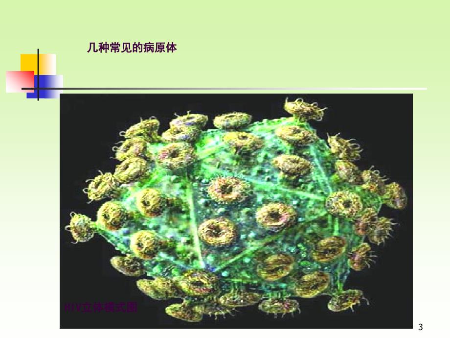 传染病及其预防ppt课件_第3页