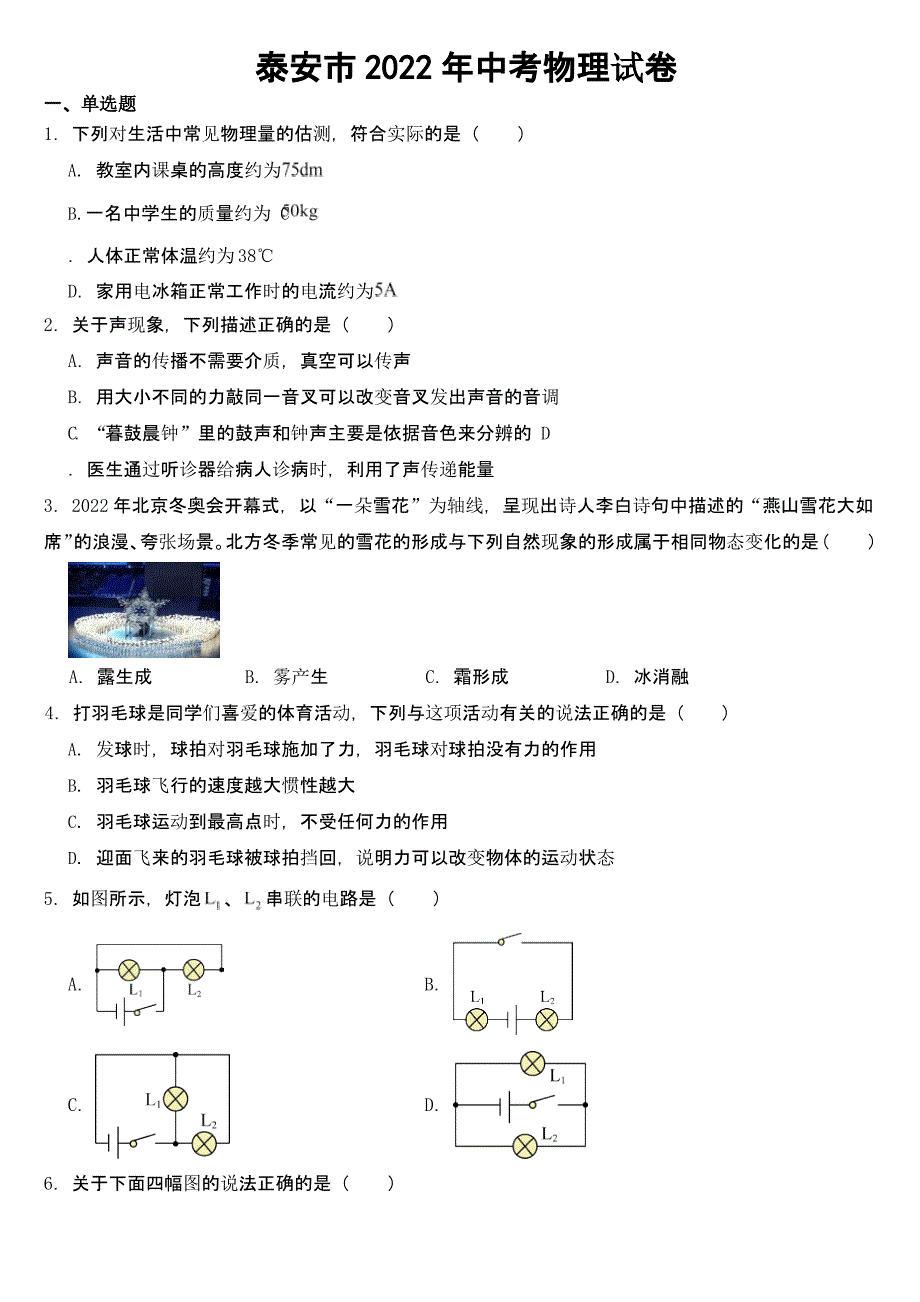 山东省泰安市2022年中考物理试卷【及真题答案】_第1页