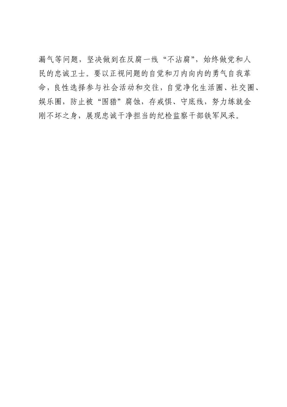 某纪检监察干部“以铁的纪律打造忠诚干净担当的铁军”研讨发言_第5页