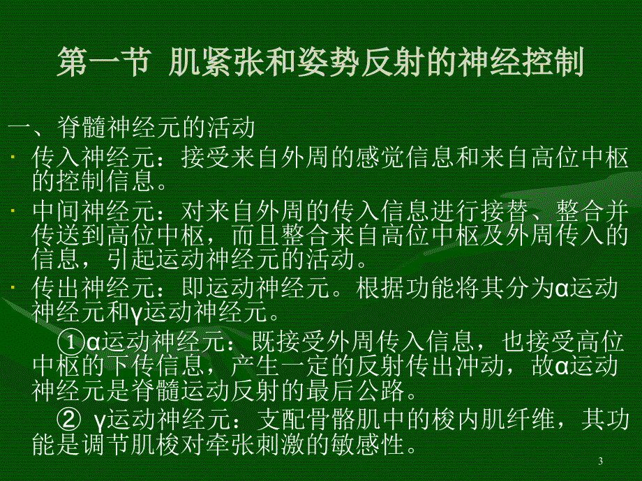 肌肉活动的神经控制ppt课件_第3页