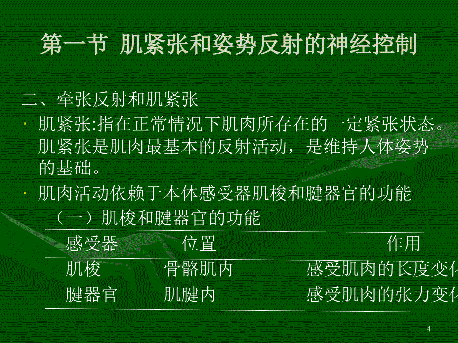 肌肉活动的神经控制ppt课件_第4页