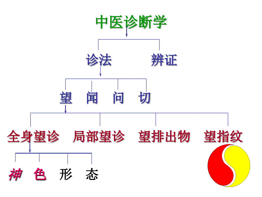 第一章--望诊_第2页