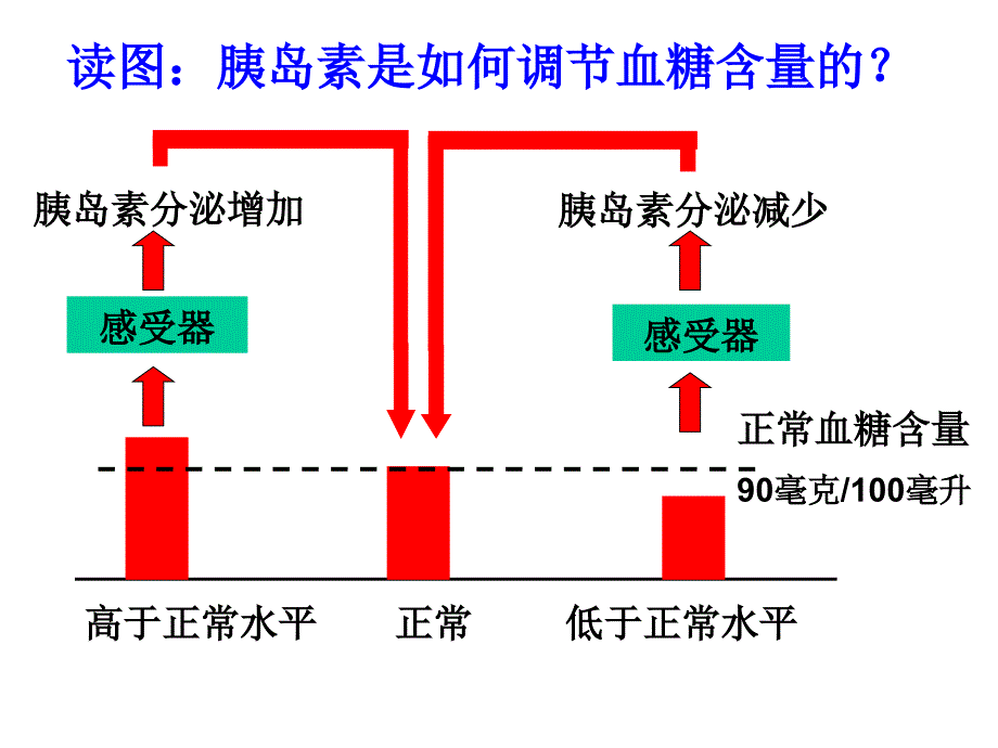 人体的激素调节第课时.ppt_第4页