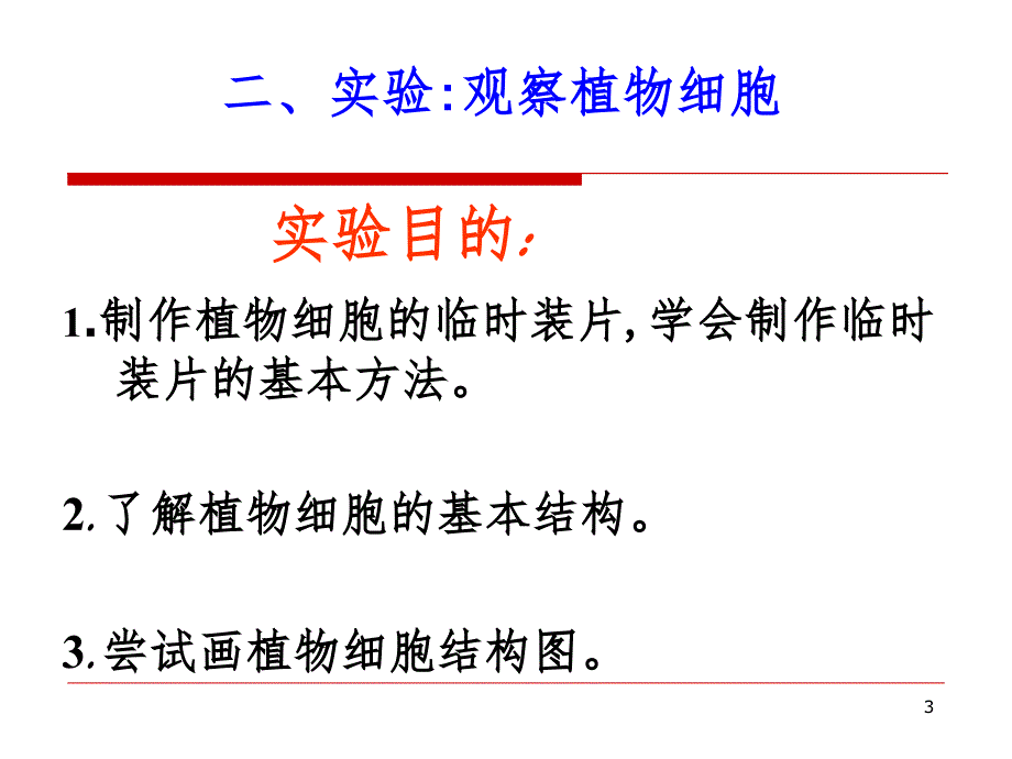 植物细胞.ppt_第3页