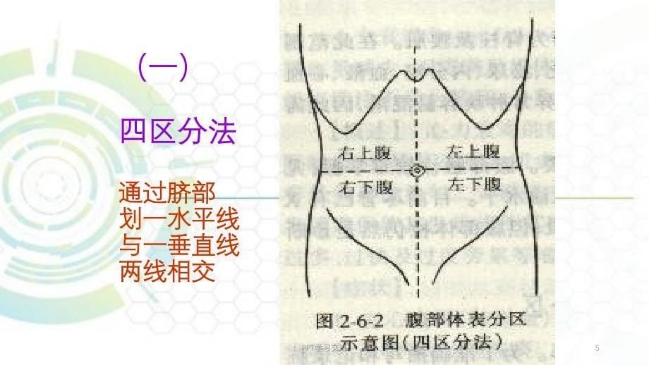 腹部检体ppt课件_第5页