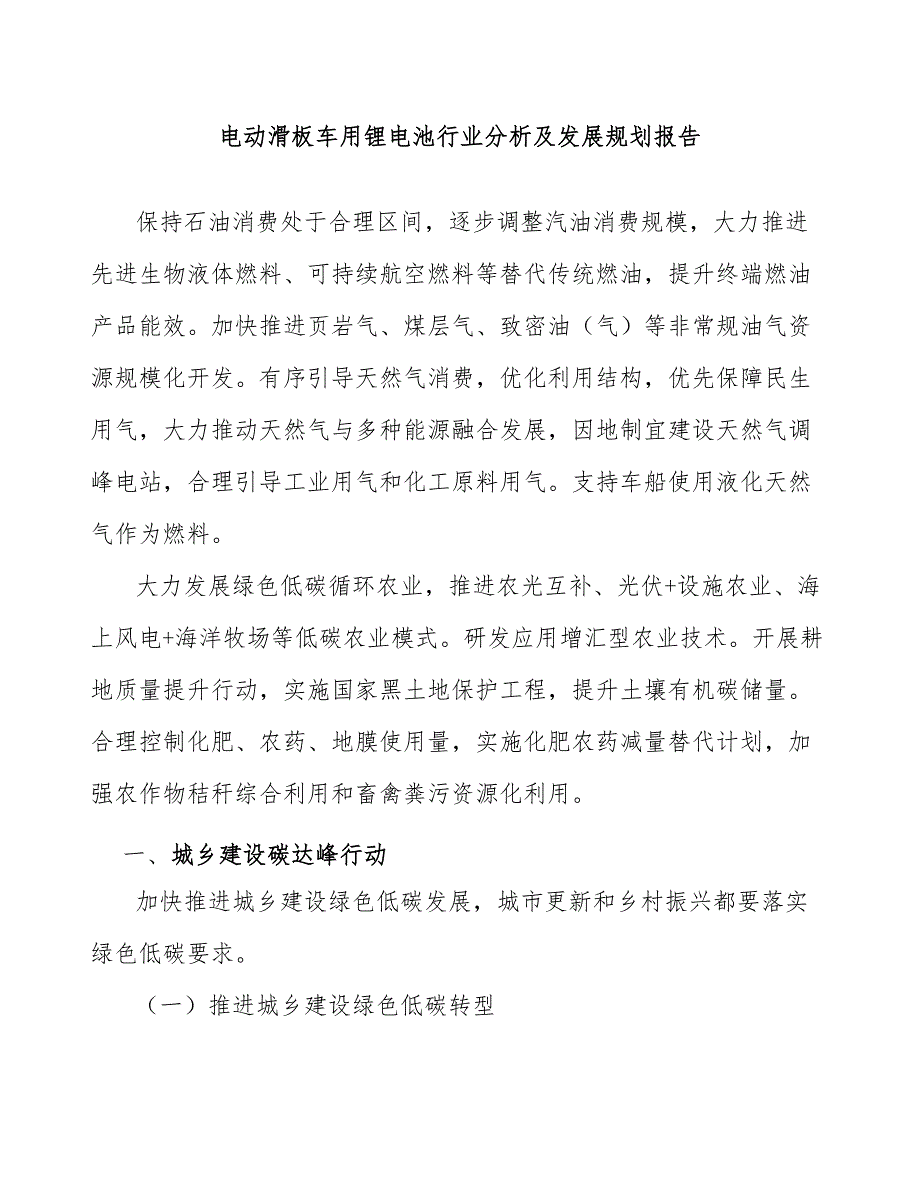 电动滑板车用锂电池行业分析及发展规划报告_第1页