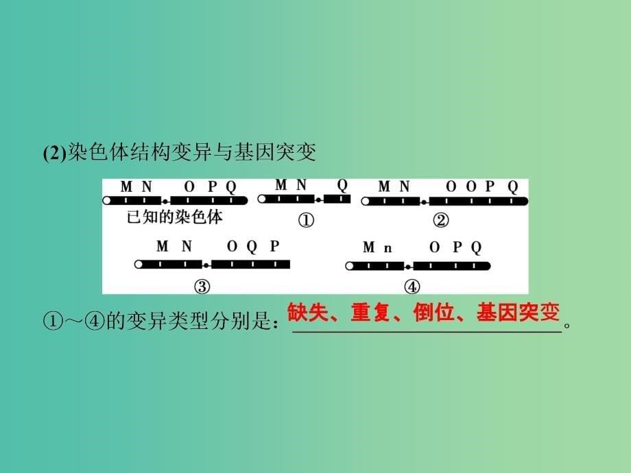 （浙江专用）高考生物二轮复习 专题四 遗传、变异和进化 第3讲 变异、育种和进化课件.ppt_第5页