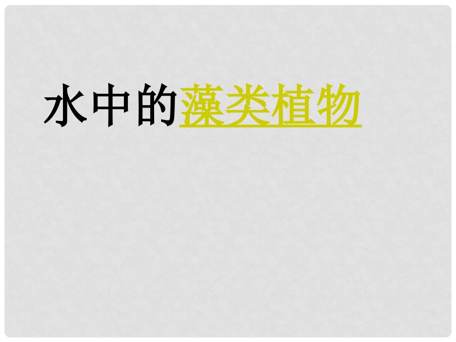 江苏省扬中市同德中学七年级生物下册 102 水中的藻类植物课件 （新版）苏科版_第2页