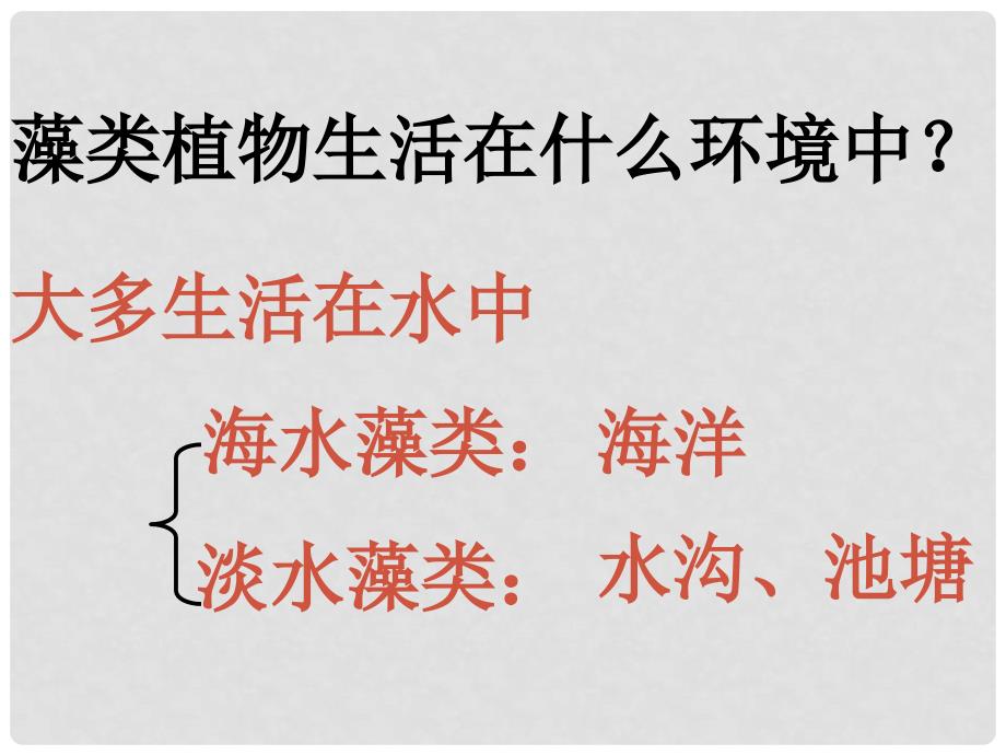 江苏省扬中市同德中学七年级生物下册 102 水中的藻类植物课件 （新版）苏科版_第3页