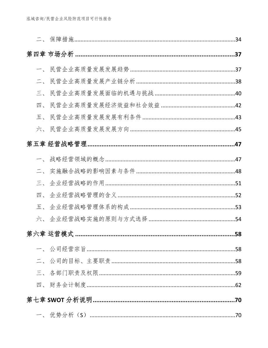 民营企业风险防范项目可行性报告_第5页