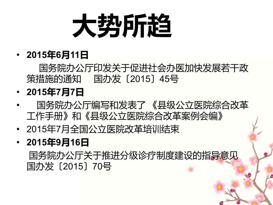 公立医院改革沙龙剖析_第5页