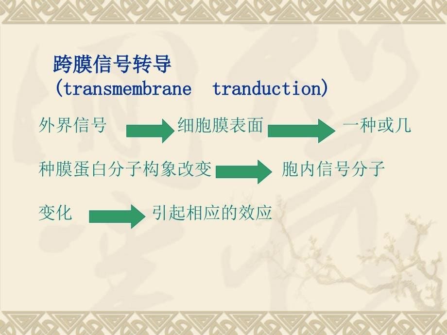 第三章 细胞的生物电现象.ppt_第5页