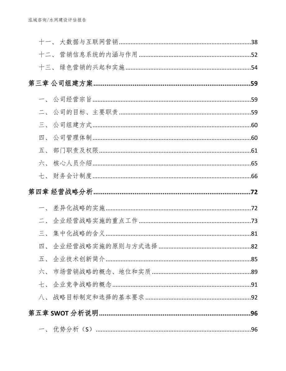 水网建设评估报告（模板）_第5页