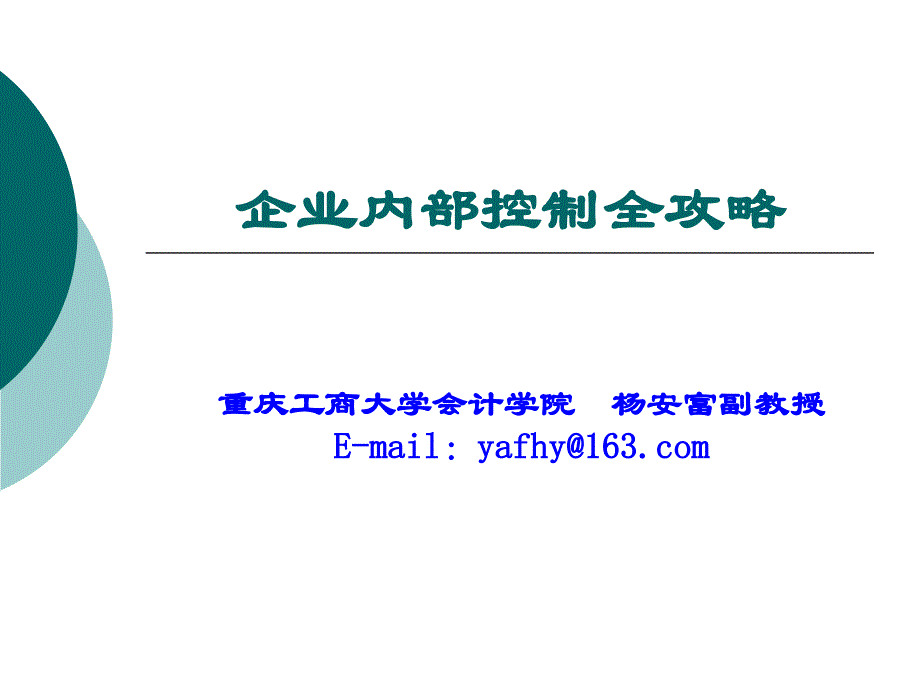 公司内部控制全攻略_第1页