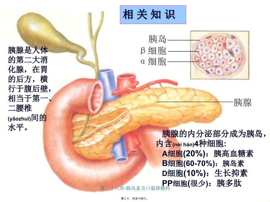 第二十八章-胰岛素及口服降糖药课件_第2页