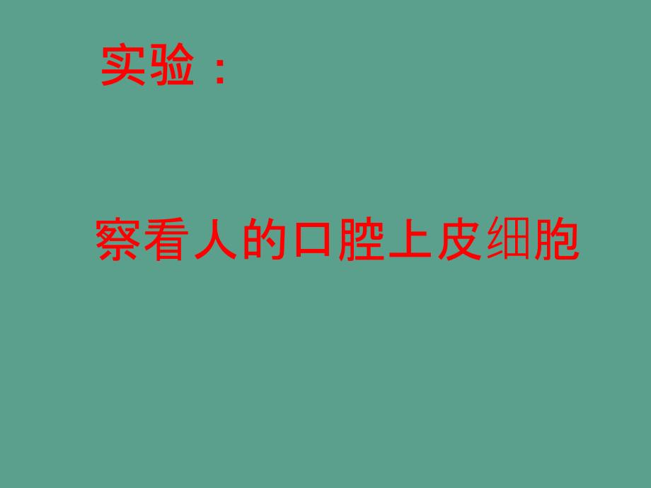 七年级生物上册213观察动物细胞1ppt课件_第4页