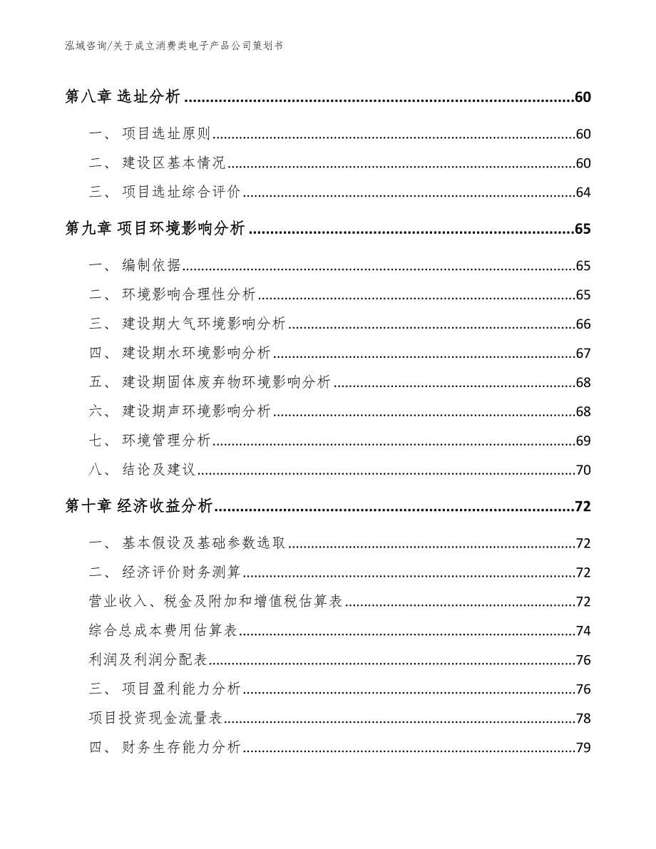 关于成立消费类电子产品公司策划书_模板参考_第5页