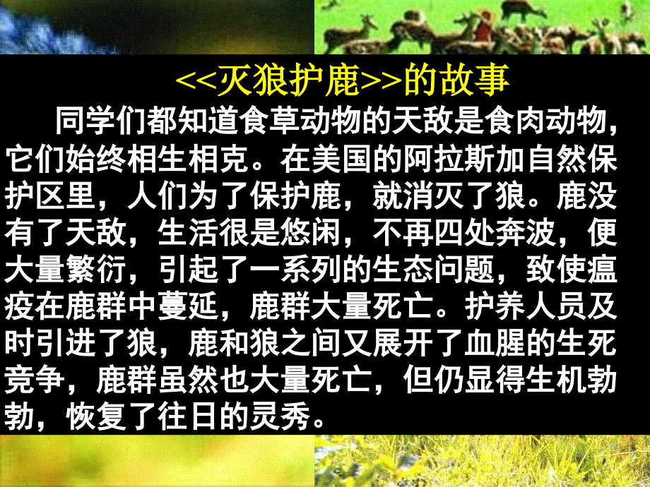 八年级政治上第八课第一框竞争？合作？课件人教版_第3页